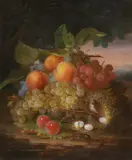 George Forster, Still Life with Fruit and Bird's Nest, Oil on canvas