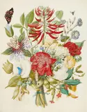 Johannes Moninckx, Three Flower Pieces, Gouache on parchment