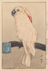 Hiroshi Yoshida, Hiroshi Yoshida (1876-1950), Series: Dôbutsuen. Title: Ôbatan ômu (in pencil: Obatan Parrot). Salmon-crested parrot on a perch. Signed: Yoshida. Seal: Hiroshi. Sign. in pencil: Yoshida Hiroshi. Jizuri. Date: Taisho 15 (1926). Very good impression, blind printing, colours slightly faded, paper minimally yellowed, few small stains, framed