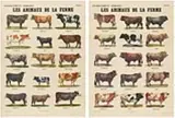 Marcel Broodthaers, Les Animaux de la Ferme, 1974, 2-part work: each offset print on card. Each