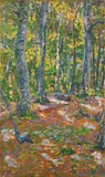 Walther Bötticher, Buchenwald, 1908, Oil on canvas