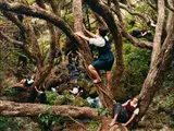 Justine Kurland, Jungle Gym