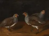 attributed to Johann Heinrich Baumann, Three Partridges, Oil on canvas, mounted on hardboard