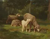 Charles Jacque, Grazing Sheep, Oil on panel