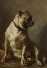 Anton Schrodl, Sitting Pug Dog, Oil on canvas (relined)