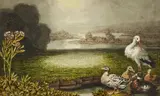Johann Heinrich Wilhelm Tischbein, Stork and Ducks in Summer Landscape 
In addition: Two pencil sketches with storks