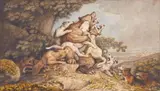 Johann Heinrich Wilhelm Tischbein, Bear fighting with hunting Dogs

Includes: Chalk sketch, hunting dog attacks a bear