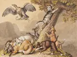 Johann Heinrich Wilhelm Tischbein, The Cat flees up a Tree and the Dogs bite the Fox