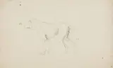 Johann Heinrich Wilhelm Tischbein, Three Dog Studies
