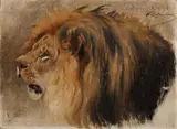 Wilhelm Kuhnert, Head of a Lion, Oil on canvas mounted on card