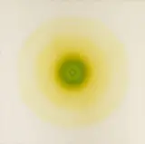 Robert Rotar, Rotation gelb/grün Nr. 12
