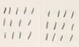 Günther Uecker, Wortreihungen, 1994, 33 sheets graphite, some with typographical text, on paper