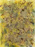 Michael Buthe, Untitled