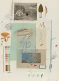 Cy Twombly, Natural History Part I No. VII, 1974, Lithograph, granolithograph, heliotype, photochrom, offset, collage and coloured pencil on card
