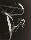 Herbert Matter, Photogram, 1939, Vintage photogram on gelatin silver paper