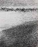 Lucien Clergue, Untitled (from the series: Carmargue)