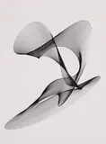 Triennale. Untitled by Heinrich Heidersberger, 1956/1950s, 2 vintage ferrotyped gelatin silver prints on Agfa paper, offered Dec 2021