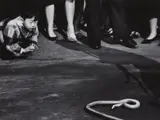 Untitled by Christer Strömholm, 1963, Gelatin silver print, printed later, offered Dec 2021