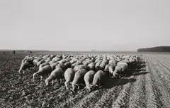 Untitled (from the series: Agrarlandschaften) by Heinrich Riebesehl, 1978-79, 10 gelatin silver prints. Each, sold Dec 2021