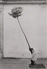 Sabine Weiss, Petite fille, petite arbre, Espagne, 1981, Gelatin silver print