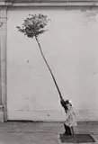 Sabine Weiss, Petite fille, petite arbre, Espagne, 1981, Gelatin silver print
