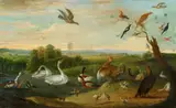 Jan van Kessel the Elder, Water Fowl Threatened by a Buzzard, Oil on canvas (relined)