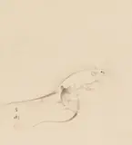 Hōen, A hanging scroll, depicting two rats. Ink and light brown on paper. Signed and sealed Hoen. Wooden box., A hanging scroll, depicting two rats. Ink and light brown on paper. Signed and sealed Hoen. Wooden box