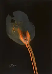 Untitled by Otto Piene, 1974, Gouche and traces of fire on card, sold Jun 2021