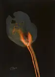 Otto Piene, Untitled, 1974, Gouche and traces of fire on card