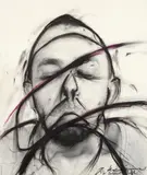 Arnulf Rainer, Du blind Hund, Übermalung: oil pastel on photograp