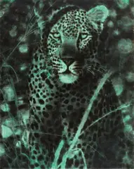 Jiří Georg Dokoupil, Yo (Leopard), 2002, Soot on canvas