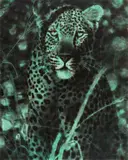 Jiří Georg Dokoupil, Yo (Leopard)
