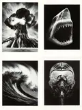 Robert Longo, Russian bomb/Semipalatinsk; Spanish blood/Lion's gate; Ohne Titel (Shark 5); Ohne Titel (Ulysses), 2011/2012, 4 works: each archival pigment print on card. Each