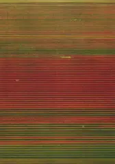 Andreas Gursky, Untitled XVIII, 2016, Offset lithograph on wove paper