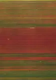 Andreas Gursky, Untitled XVIII