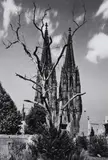 Karl Hugo Schmölz, Kölner Dom