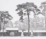 Werner Bischof, In the Court of the Meiji Temple, Tokyo, Japan, 1952, Posthumous gelatin silver print