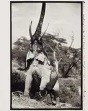 Peter Beard, Elephant reaching for the last Branch on a Tree, Kenya