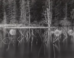 Robert Werling, Portage Glacier Pond, Alaska, 1981, Gelatin silver print, printed