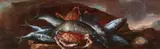 Giuseppe Recco, Fish Still Life, Oil on canvas (relined)
