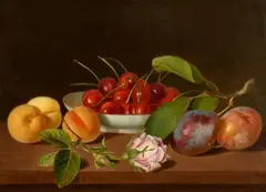 Justus Juncker, Still Life with a Bowle of Cherries, Apricots, a Plum Branch and a Rose, Oil on panel