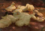 Alexander Koester, Ducks Resting on the Banks of a River, Oil on canvas (relined)