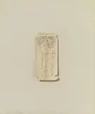 Verschaffeltia (Palme) by Joseph Beuys, 1972, Pencil on card (printed verso), collaged on card, offered Dec 2020