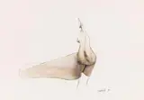 Lynn Chadwick, Untitled (High Wind)
