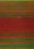 Andreas Gursky, Ohne Titel XVIII