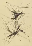 Norbert Kricke, Untitled