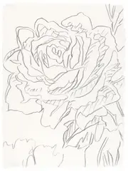 Rose by Andy Warhol, About 1982, Graphite on card. Approx, offered Dec 2020