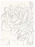 Andy Warhol, Rose, About 1982, Graphite on card. Approx
