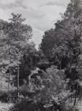 Albert Renger-Patzsch, Auenwald, Oberrhein