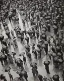 Ludwig Windstosser, Regenschirme, c. 1950, Vintage ferrotyped gelatin silver print on Agfa-Brovira paper